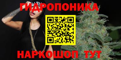 трава Ставрополь