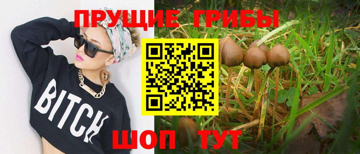 Галлюциногенные грибы GOLDEN TEACHER Нижнеудинск
